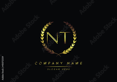 Alphabet letters NT monogram logo, gold color, luxury style