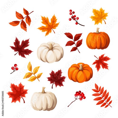 Vector set of autumn design elements. Autumn leaves and pumpkins isolated on a white background.