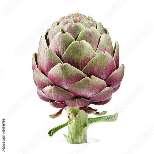 Fresh purple artichoke isolated on white background