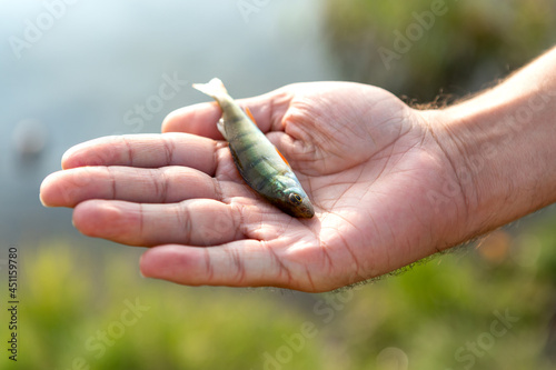 Small fish in a fisherman hand close-up. Hunting and fishing concept