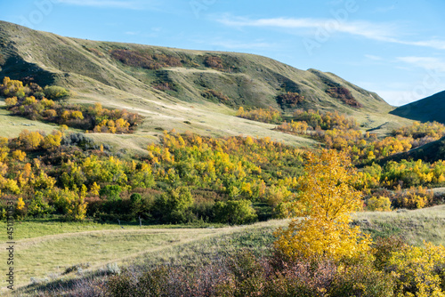 Fall colours in rural Saskatchewan, Canada
