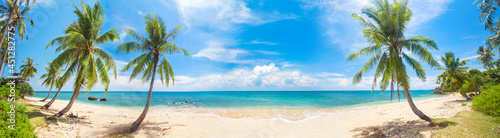 panorama of tropical beach with coconut palm trees