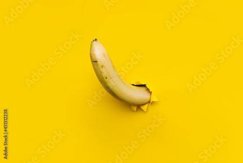 A large banana curved upward through a torn hole in yellow paper. The concept of tropical fruits, vegetarianism, good potency and erection. Background with copy space.