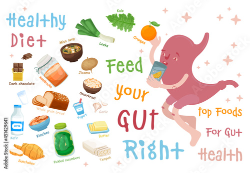 Top foods for gut health. Healthy products collection.