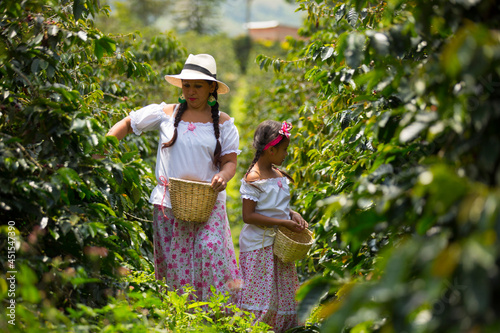 mom and daughter picking up coffee beans in a coffee plantation