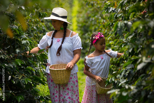 mom and daughter picking up coffee beans in a coffee plantation