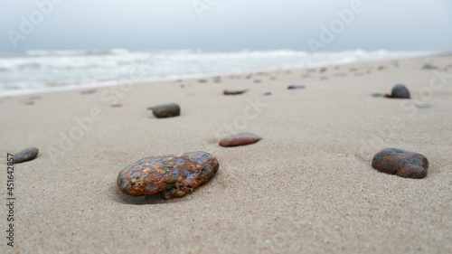 Morski kamień w kolorach jesieni. Jesień ubarwiła nadbrzeżny kamyk, który teraz wyróżnia się spośród szarości jesiennego morza.