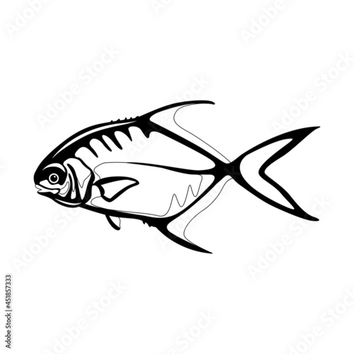 permit fish , vector illustration, flat style, side