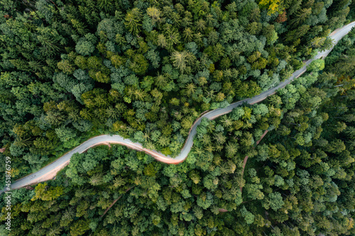 Backlights of a driving car in a curvy road as long exposure from a drone, having a trip to a green summer forest at the evening.