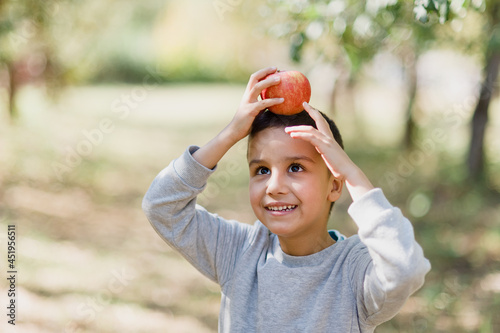 portrait of mixed race boy eating red organic apple outdoor. Harvest Concept.