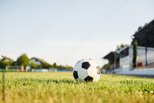 Close up view of soccer ball that lying down on the green grass
