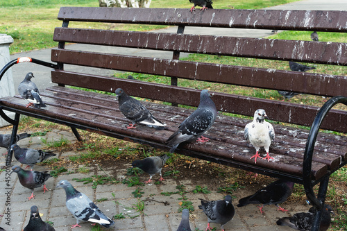 A park bench stained with pigeon droppings