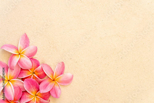 Blossom pink plumeria or frangipani flower on sand beach background. Copy space.