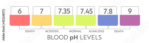 Human blood ph range. Medical illustration chart and scale. Acidic, Normal, Akaline diagram.