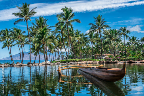 Vintage Hawaiian outrigger canoe on the water next to palm trees. 
