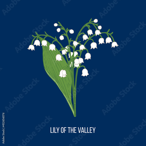 Lily of the valley Convallaria majalis, spring flower