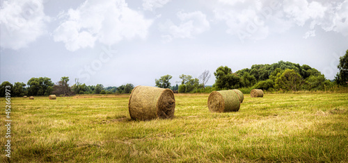 A field with mowed grass and rolls of hay on a sunny day.
