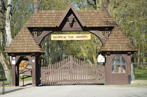 Białowieski Park Narodowy