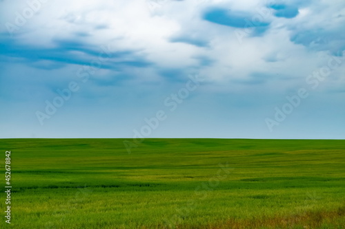 landscape like microsoft window xp