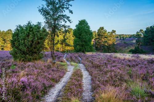 Naturpark Südheide Tiefental