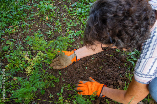 Jardinagem e plantio de horta caseira. Para comida sem agrotóxicos 