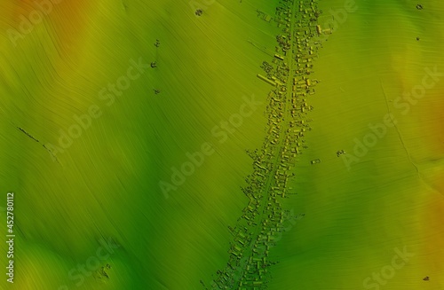 Digital elevation model. GIS product made after proccesing aerial pictures taken from a drone. It shows a narrow village along the road. Narrow farmland meanders perpendicularly away from houses
