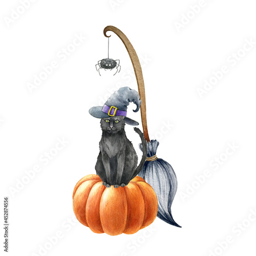 Black cat on pumpkin halloween illustration. Black cat in witch hat, pumpkin, broom and spider elements. Witchcraft object decoration. Spooky funny autumn halloween decor. White background
