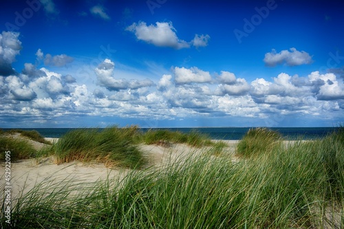 Dunes of Texel