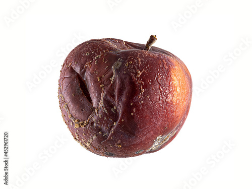 spoiled moudly rotten apple fruit isolated on white. side view rotten apple on a white background