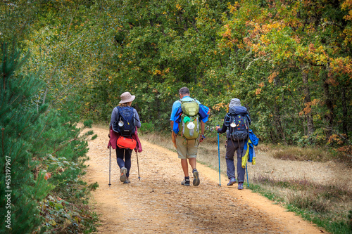 Three Pilgrims Hiking through a Forest along the Way of St James Pilgrimage Trail Camino de Santiago