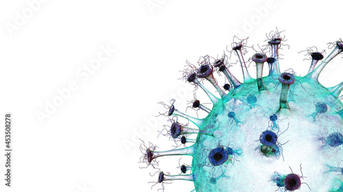 3d rendering close up virus covid-19 isolated on white background , picture have space for idea. 
