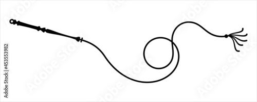 Whip Icon Y_2108001