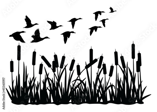 vector silhouette of duck bird flock flight over marsh herbs isolated on white background. group of wild ducks and typhaceae marsh herb with leaves and spike flowers.