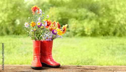 Autumn flowers in red rubber boots, natural garden background. harvesting, summer or autumn season concept. rustic floral composition. copy space