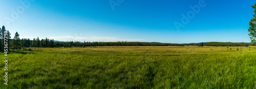 Panoramic Meadow in Yellowstone National Park
