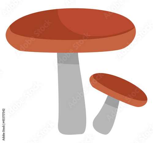 Two russula mushrooms, icon illustration, vector on white background