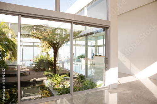 Plants in modern courtyard