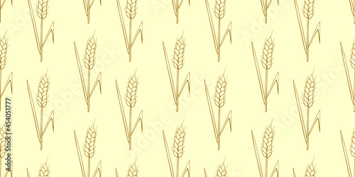Wheat spikelets, vector seamless pattern in doodle style, isolated. Design of fabric, wrapping paper, packaging on the theme of bakery products, flour, harvest