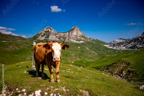 Góry Durmitor - Czarnogóra 