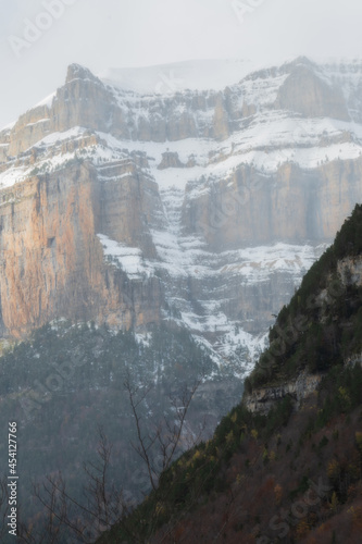 High mountain forest landscape in snowy winter with trees in Ordesa Valley, Pyrenees, national park, Spain. Vertical view