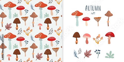 Autumn set with seamless pattern and a collection with seasonal elements, different mushrooms and plants