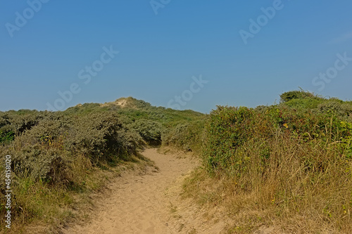  PAth thorugh the dunes along the French opal coast Download preview Path thorugh the dunes along the French opal coast near Calais on a sunny day with clear blue sky 