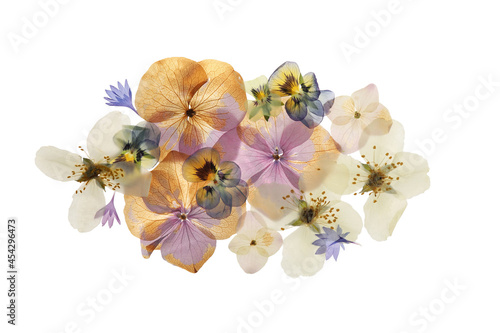 Pressed dried flowers on white background, top view. Beautiful herbarium