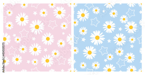 Set of seamless pattern with daisy flower on pink and blue background vector illustration.