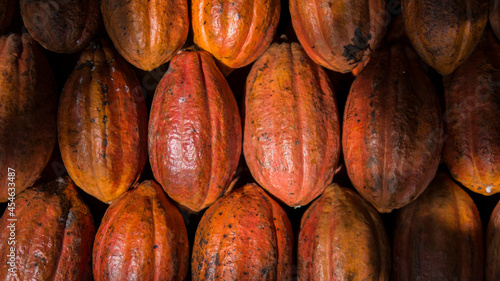 cacao pods (Theobroma cacao), cacao background and Textures, cacao farm.
