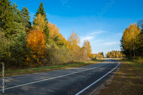 Road in autumn, highway along the forest, natural landscape