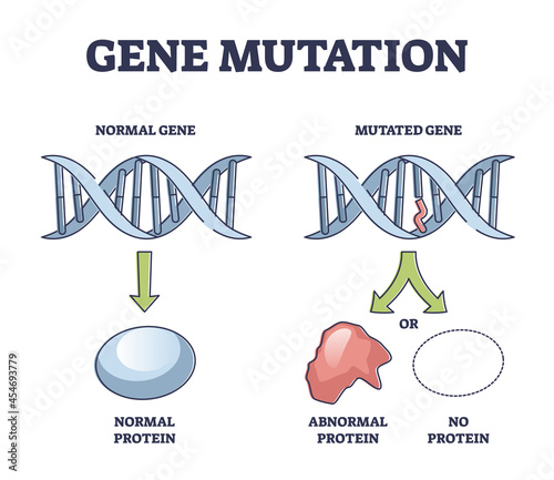 Gene mutation models comparison with abnormal helix protein outline diagram. Labeled educational genetic DNA sequence scheme with artificial modification vector illustration. Biological manipulation.