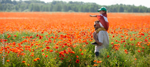 Dad holding his little son covered with flag of Latvia on his shoulders in the poppy field. Declaration of Independence Day. Ligo. Proclamation of the Republic. Travel, learn latvian language concept.