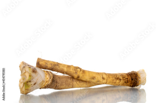 Two spicy horseradish roots, close-up, isolated on white.