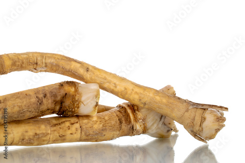 Several spicy horseradish roots, close-up, isolated on white.